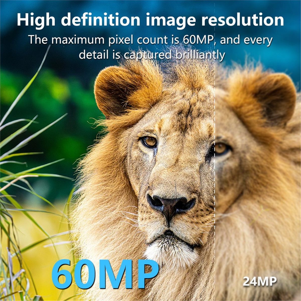 AS62 8K Hunting Camera HD Wild - огляд і ціна Hunting Outdoor Rug