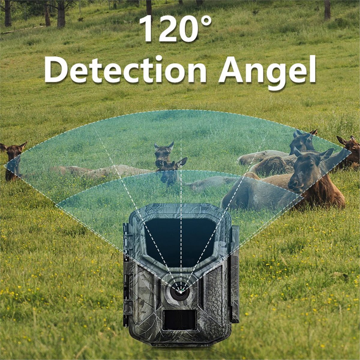 fine 8K Hunting Camera HD Wild - огляд і ціна Hunting Outdoor Rug