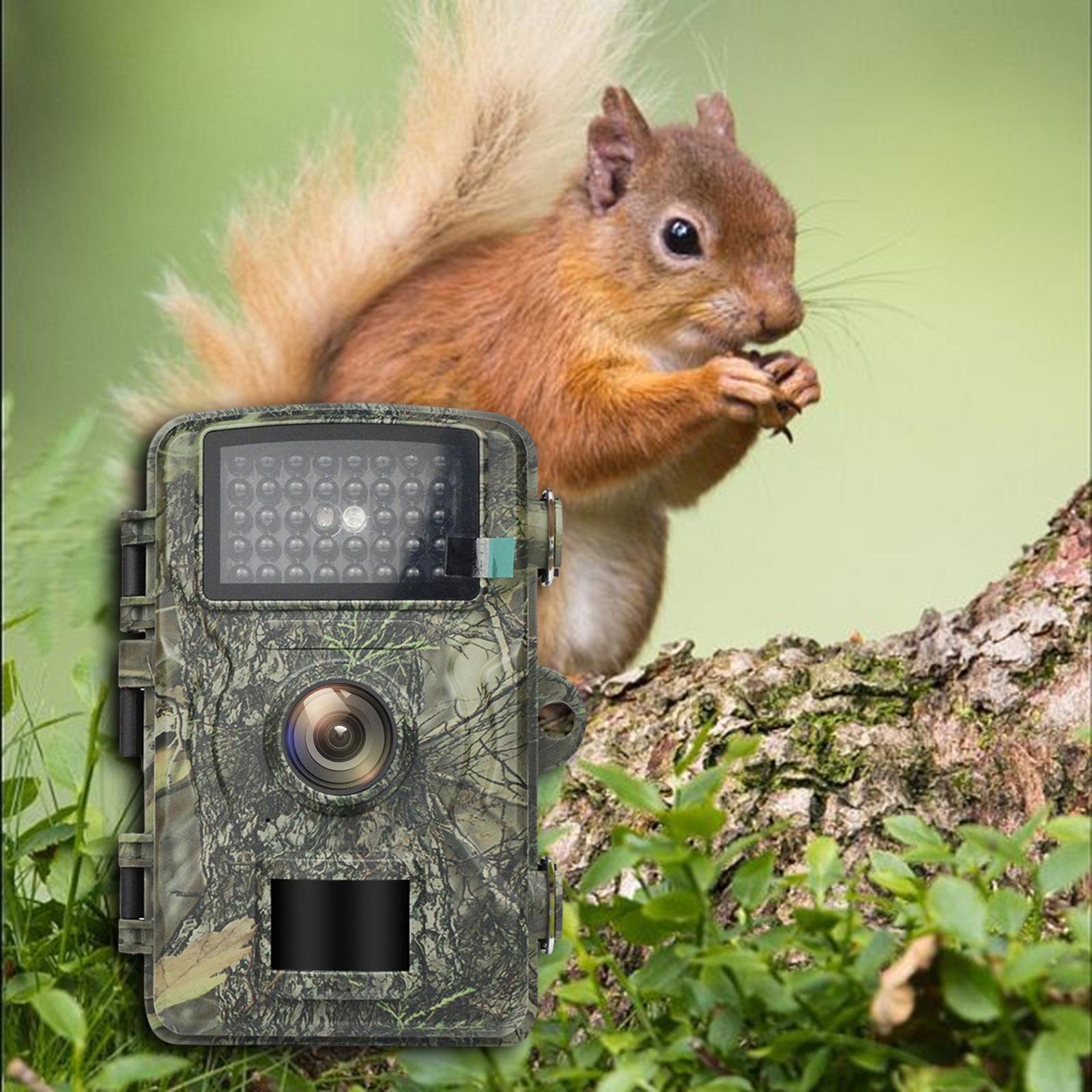 Hunting Camera Rugged ABS Outd - огляд і ціна Hunting Outdoor Rug
